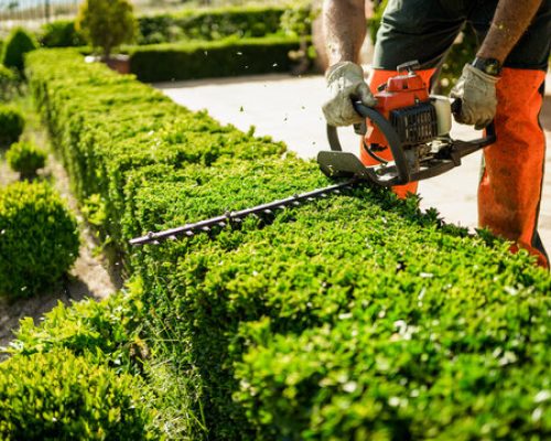 Landscaping